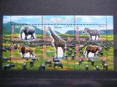 Kates laukines Drambliai Zebrai Cadas 2012 g546a/b