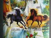 Arkliai Malavis 2011 svarus g446a/b - nuotraukos Nr. 2
