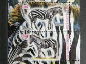 Zebrai Cadas 2011 svarus g514a/b