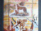 Gepardai Kates laukines Cadas 2011 svarus g524a/b