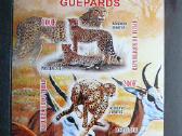 Gepardai Kates laukines Cadas 2011 svarus g524a/b - nuotraukos Nr. 2