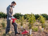 Sodo purkštuvas herbicidų purkštuvas su gaubtu 35 - nuotraukos Nr. 2