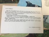 Foto nuotraukų rinkinukas - nuotraukos Nr. 3