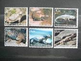 Driezai Reptilijos 2xkomplektai svarus vks5/6 - nuotraukos Nr. 2