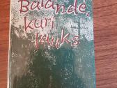 Parduodu knygas - nuotraukos Nr. 4