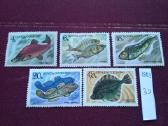 1983 m CcCCCP. - nuotraukos Nr. 2