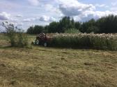 Žemės frezavimas. Žolės pjovimas. Šakų smulkinimas - nuotraukos Nr. 26