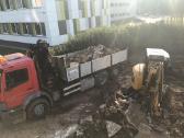 Zvyras smelis skalda juodzemis atsijos akmenukai - nuotraukos Nr. 25