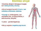 Terapinės klasės eteriniai aliejai - nuotraukos Nr. 7