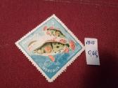 Mangolija.1965m,