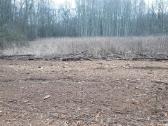 Kelmų frezavimas, apleistų sklypų tvarkymas - nuotraukos Nr. 7