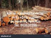 Malkos vežu į Vilnių, Alytų, Kauną, Prienus, Drusk - nuotraukos Nr. 9