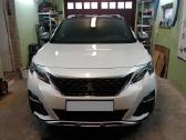 Peugeot, Renault, Citroen diagnostika, Klaipėda - nuotraukos Nr. 9