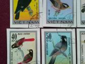 Vietnam 1978 m. - nuotraukos Nr. 2