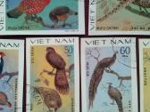 Vietnam 1979 m. - nuotraukos Nr. 3