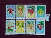 Vietnam 1981m.