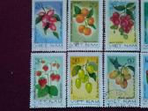 Vietnam 1981m. - nuotraukos Nr. 2