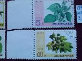 .1974m.korea. - nuotraukos Nr. 3