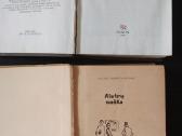 Pasaulinė literatūra - nuotraukos Nr. 2