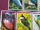 Guinea 1976m. - nuotraukos Nr. 2