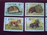 Kazakstan 1993m. - nuotraukos Nr. 2