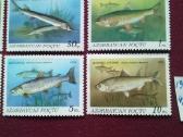 Azerbaycan 1993m. - nuotraukos Nr. 4