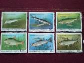 Azerbaycan 1993m.
