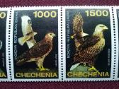 Chechenia.1997m. - nuotraukos Nr. 3