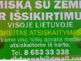 Malkos rasteliais - nuotraukos Nr. 2