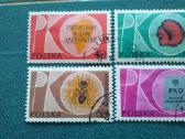 Poland 1961 m. - nuotraukos Nr. 2