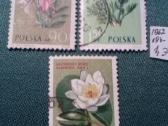 Poland 1962 m.