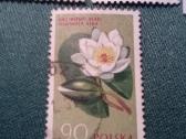 Poland 1962 m. - nuotraukos Nr. 3