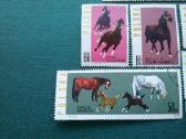 Poland 1963 m. - nuotraukos Nr. 4