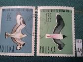 Poland 1964 m. - nuotraukos Nr. 2