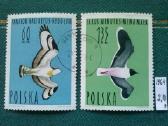Poland 1964 m.