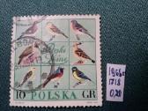 Poland 1966 m.