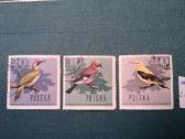 Poland 1966 m.