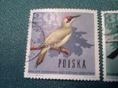 Poland 1966 m. - nuotraukos Nr. 2