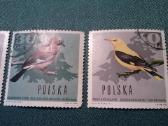 Poland 1966 m. - nuotraukos Nr. 3