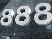 Įsimintinas VIP numeris 06 888 888 x