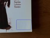 Knyga "Buddhist Women Across Cultures" - nuotraukos Nr. 5