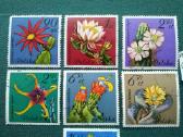 Poland 1981 m. - nuotraukos Nr. 3