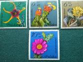 Poland 1981 m. - nuotraukos Nr. 4