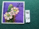 Poland 1981 m.