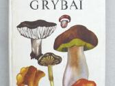 Lietuvos grybai