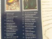 Akvariumo žuvys atvirukų rinkinyje - nuotraukos Nr. 5