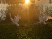 Stovyklavietė unikalioj gamtoj netoli miesto! - nuotraukos Nr. 7