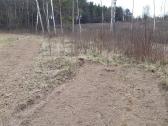 Kelmų frezavimas, apleistų sklypų tvarkymas - nuotraukos Nr. 13