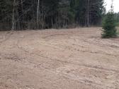 Kelmų frezavimas, apleistų sklypų tvarkymas - nuotraukos Nr. 15
