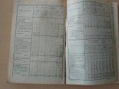 Vokietijos Reicho statistikos metraštis 1910 m. - nuotraukos Nr. 8